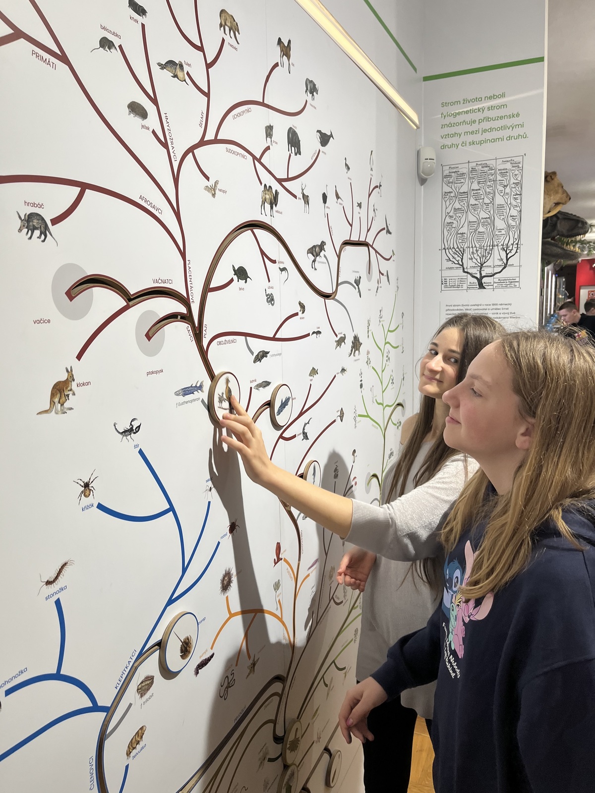 Vlastivědné muzeum 7. ročník